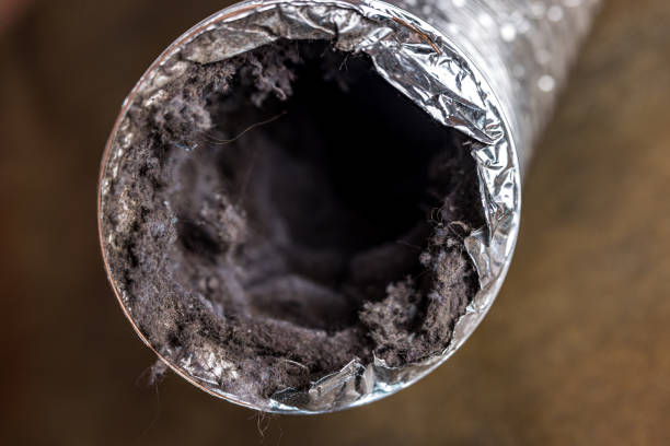 Best HVAC Air Duct Cleaning  in Kentwood, LA